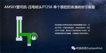 爱司凯最新爆料  第2张